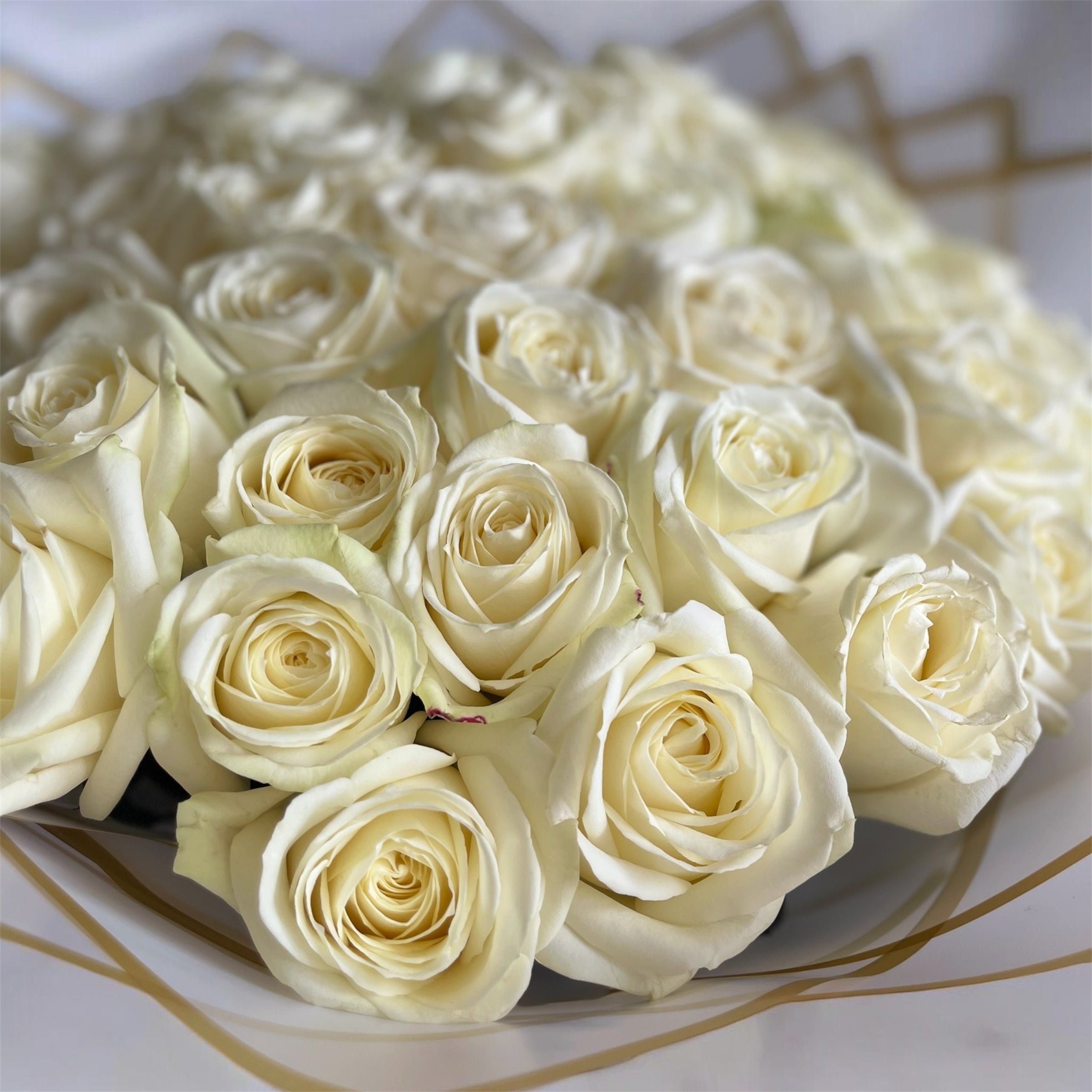 White Signature Bouquet / 50 Rosen | Chérie Bloom